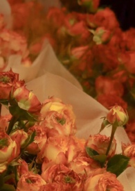 见玉 1v1 暗恋 追妻火葬场见玉 1v1 暗恋 追妻火葬场